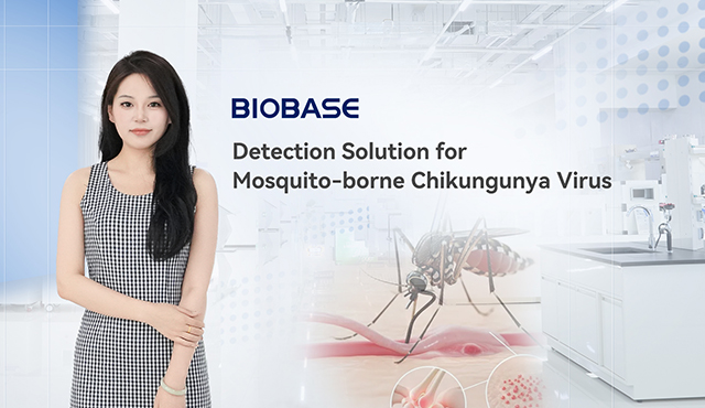 Biobase는 모기 매개 Chikungunya 바이러스에 대한 검출 솔루션을 발사합니다
