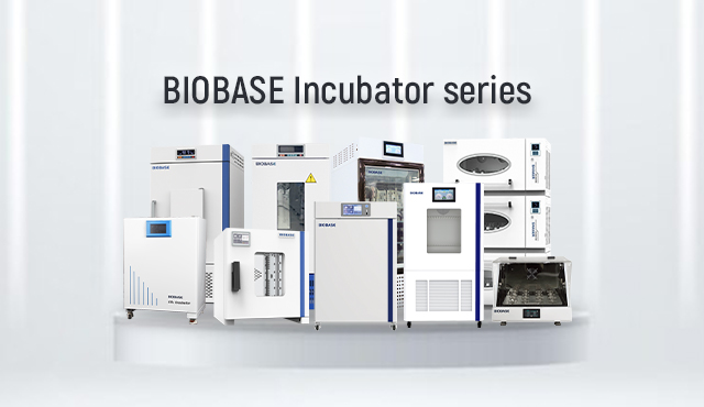 전문 실험실 인큐베이터를 선택하시고 BIOBASE를 찾아보세요!