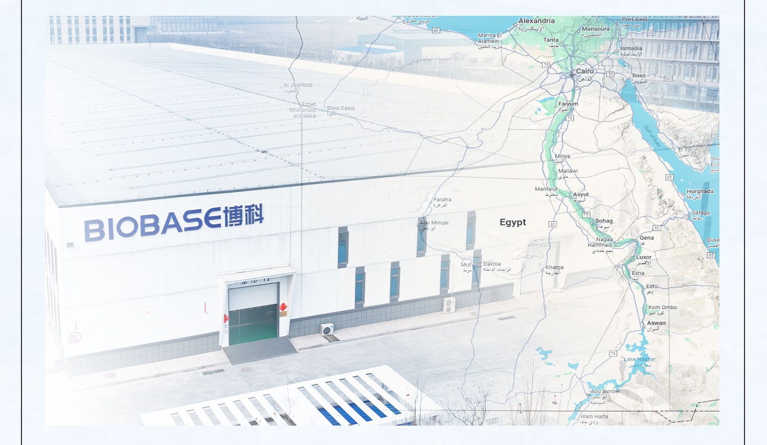 1201姚峥埃及大项目发货_04