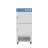 멀티 챔버 항온 인큐베이터 BJPX-H150-2C BJPX-H100-4C